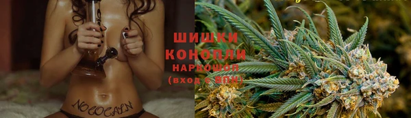 мдпв Волоколамск