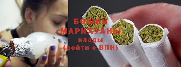 мдпв Волоколамск