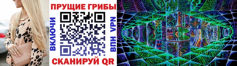 Псилоцибиновые грибы Magic Shrooms  блэк спрут ССЫЛКА  Поворино 